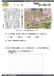 20250429aのサムネイル