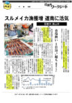 20251002aのサムネイル